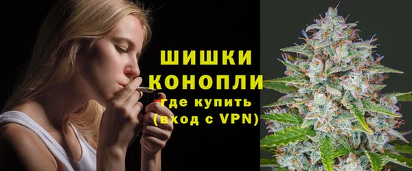 трава Инсар