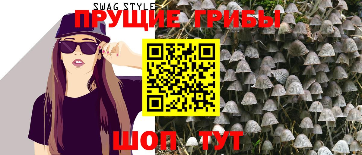 Псилоцибиновые грибы Magic Shrooms  Псилоцибиновые грибы Magic Shrooms  Вход с VPN  Касимов 