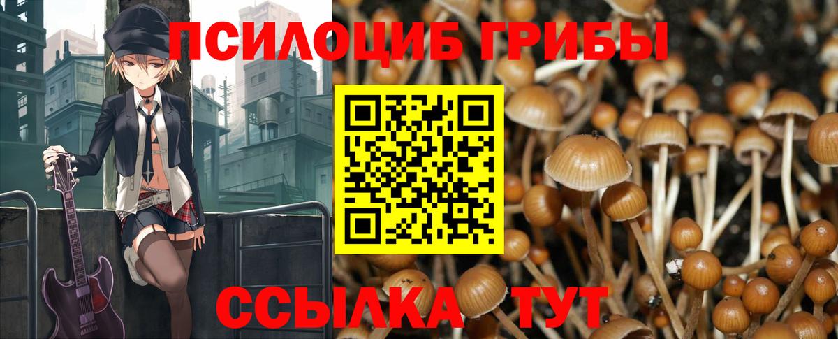 Псилоцибиновые грибы GOLDEN TEACHER Касимов