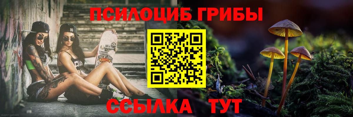 ГАШ Касимов